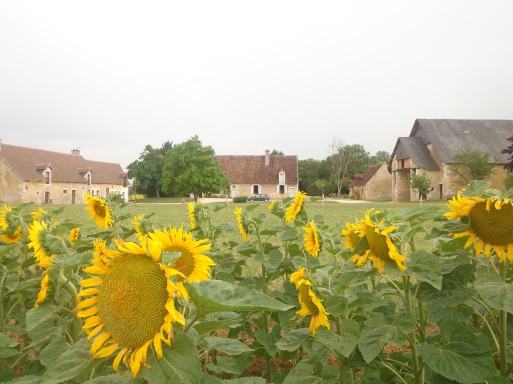 Gite Et Chambre D'Hotes Du Guillot Sainte-Solange ภายนอก รูปภาพ